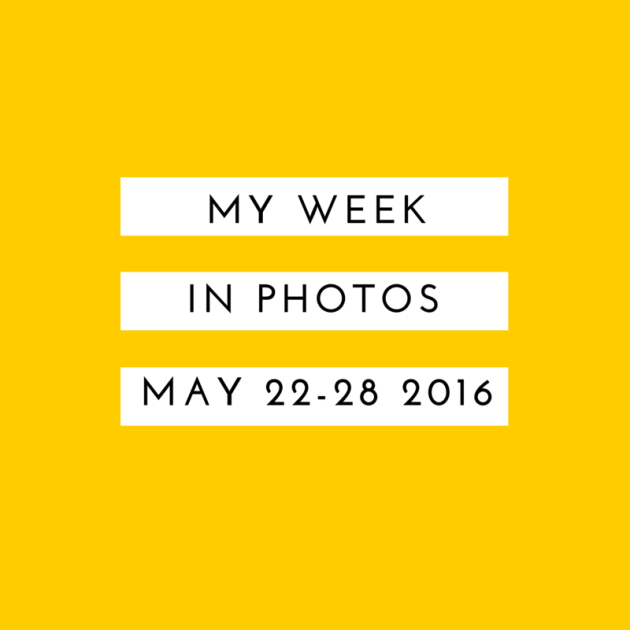 My Week in Photos (2)