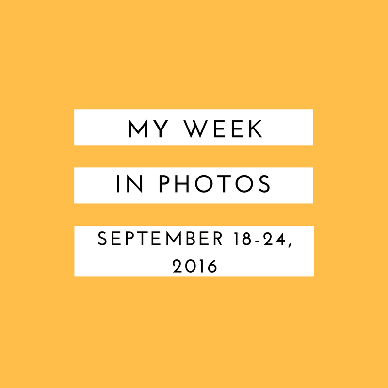 my-week-in-photos