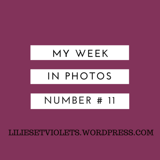 my-week-in-photos